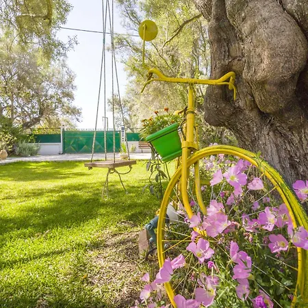 Hector בית נופש Lefkáda