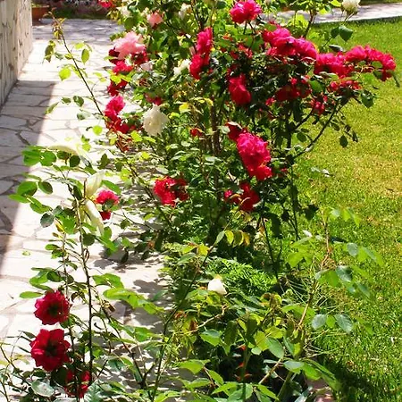 בית נופש Hector Lefkáda