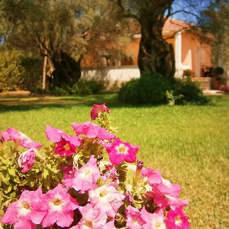 בית נופש Hector Lefkáda