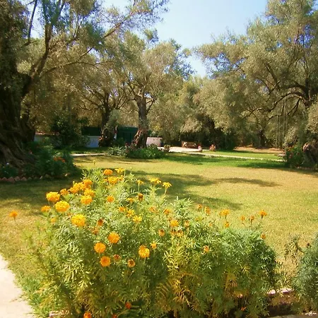 בית נופש Hector