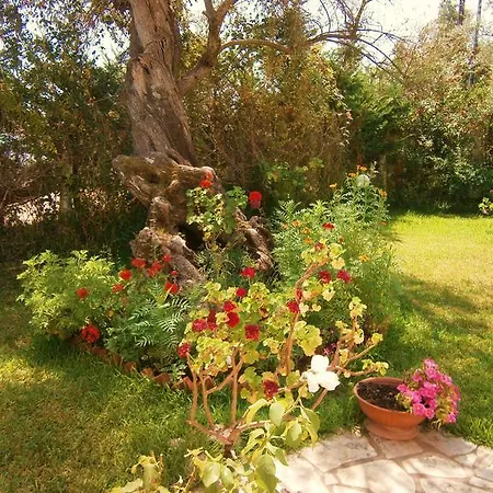 בית נופש Hector *