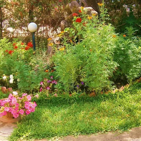 בית נופש Hector Lefkáda