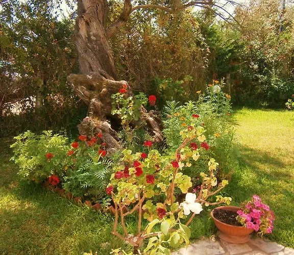 Casa vacanze Hector *