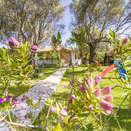 Semesterbostad Hector *