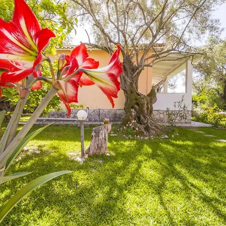 Holiday home Hector Lefkada City