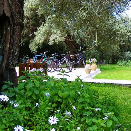 Semesterbostad Hector