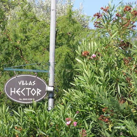 Hector Dom wakacyjny