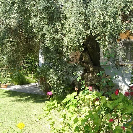 Holiday home Hector *