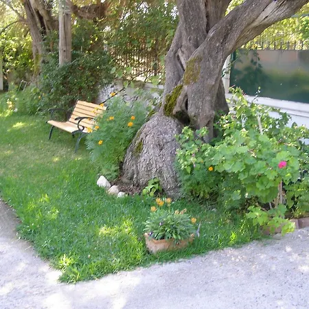 Hector Semesterbostad *