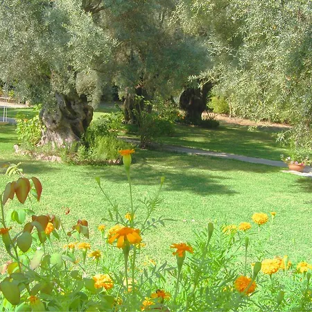 Hector Lefkada City