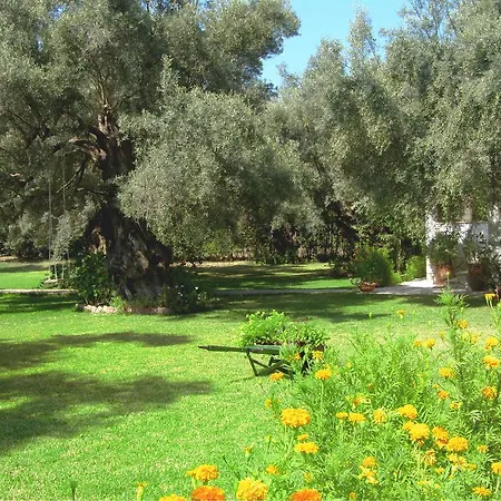 Hector Semesterbostad