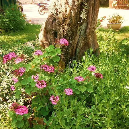 Semesterbostad Hector